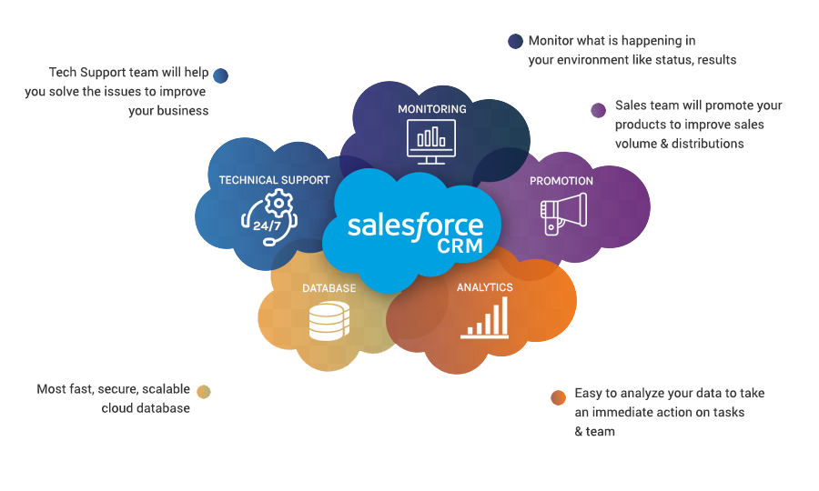 Streamline your business through Salesforce CRM - Smartwork