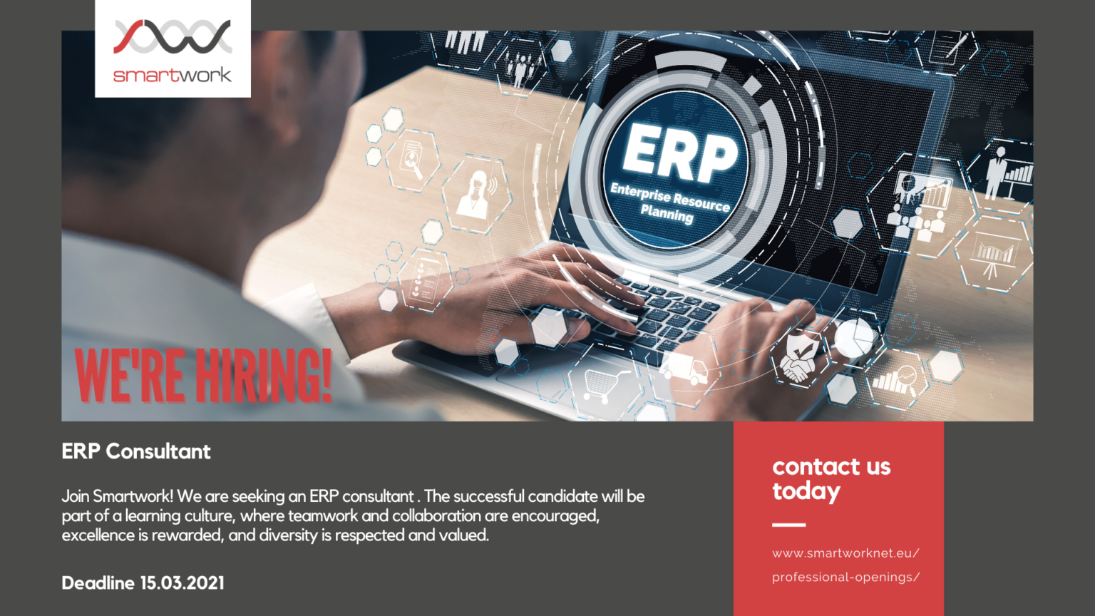 ERP Consultant Smartwork